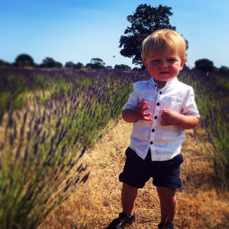 5343C647-1DF0-4966-AF39-71037A257C1F