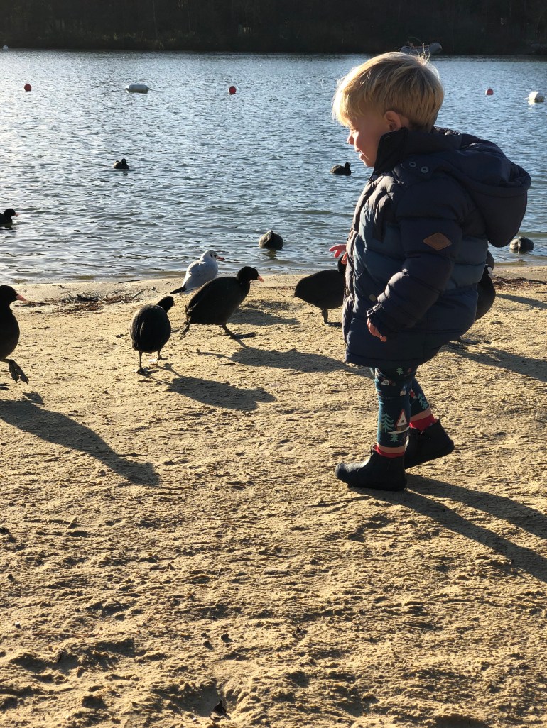 28f0d6b0-3fe3-42a8-937c-02b66779d3ba